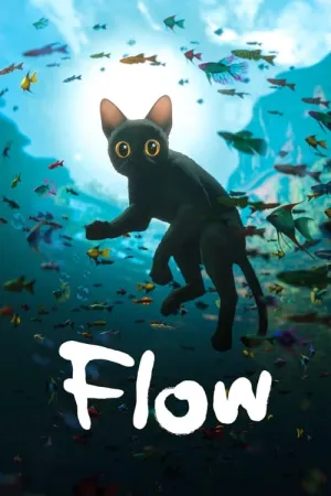 Flow 2024 Poster