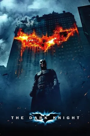 The Dark Knight 2008 Poster